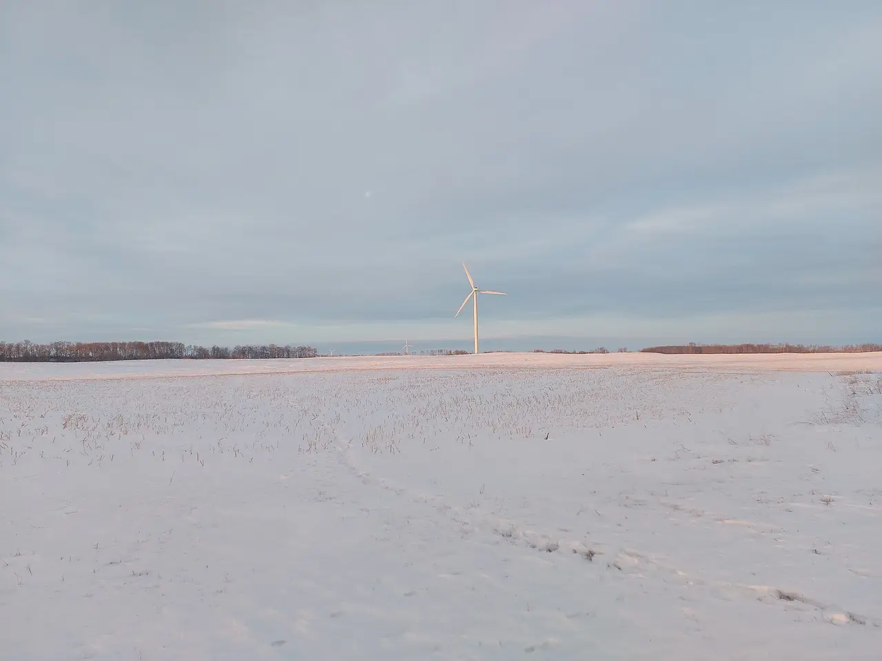 Wind turbine over snowy field, 2024